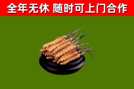 德宏市烟酒回收冬虫夏草.jpg