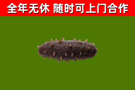德宏市烟酒回收干海参.jpg
